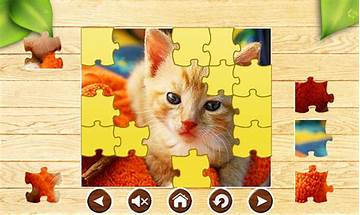 Cats Jigsaw Puzzles! for Android - Download the APK from Habererciyes